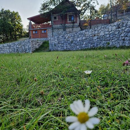 Mountain Village House Cetinje Kültér fotó