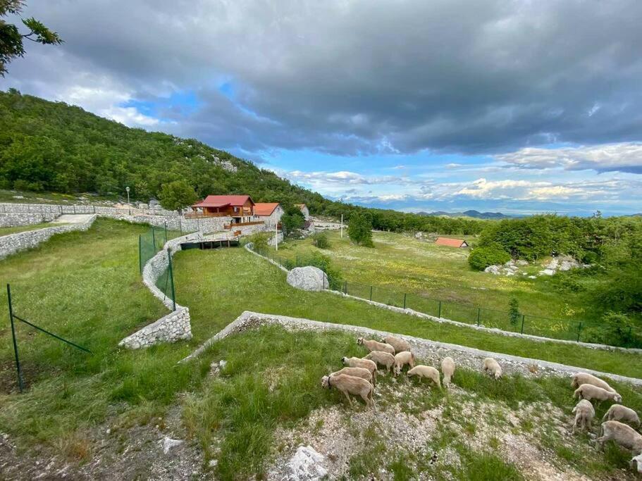 Mountain Village House Cetinje Kültér fotó