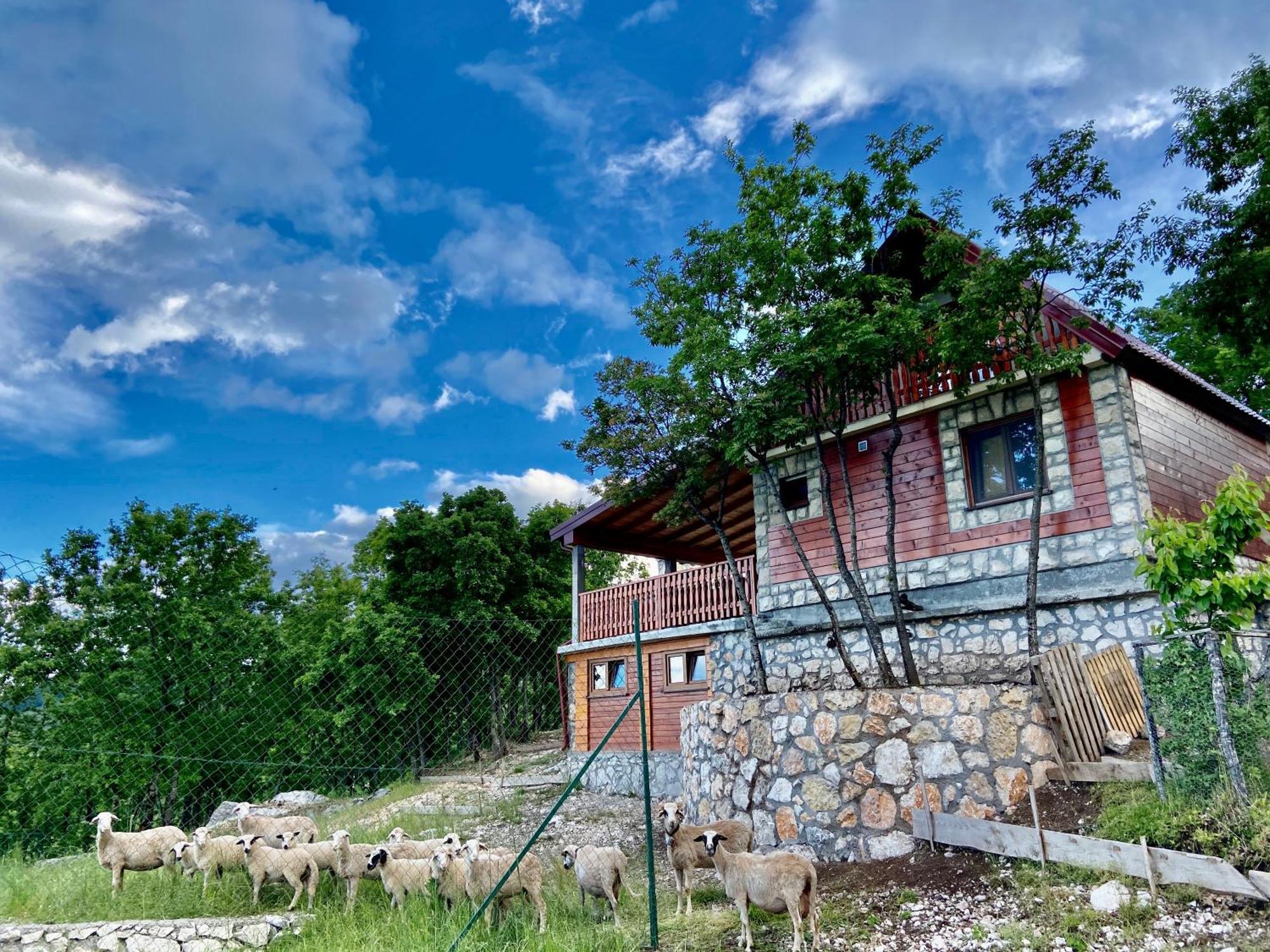 Mountain Village House Cetinje Kültér fotó
