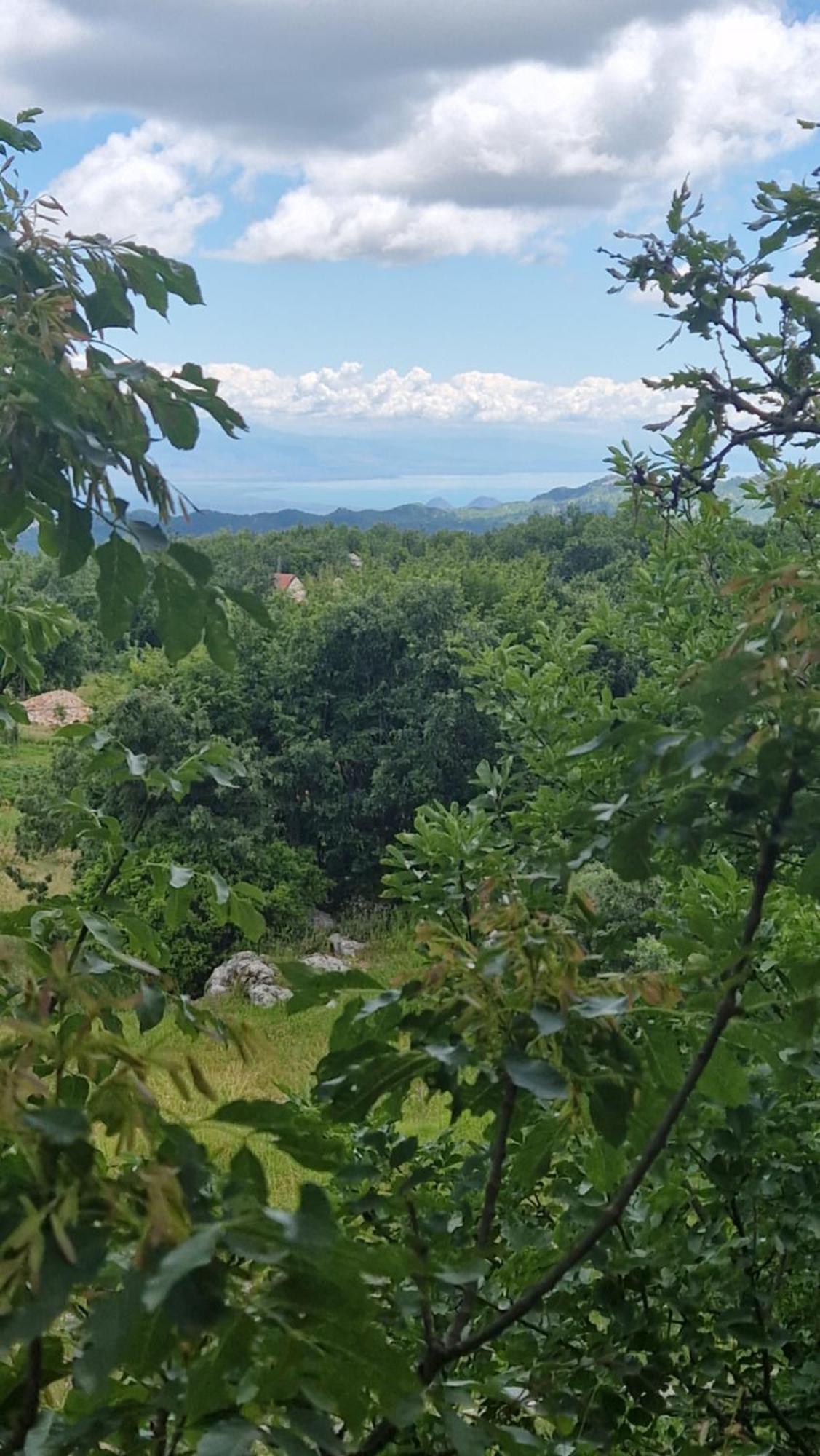 Mountain Village House Cetinje Kültér fotó