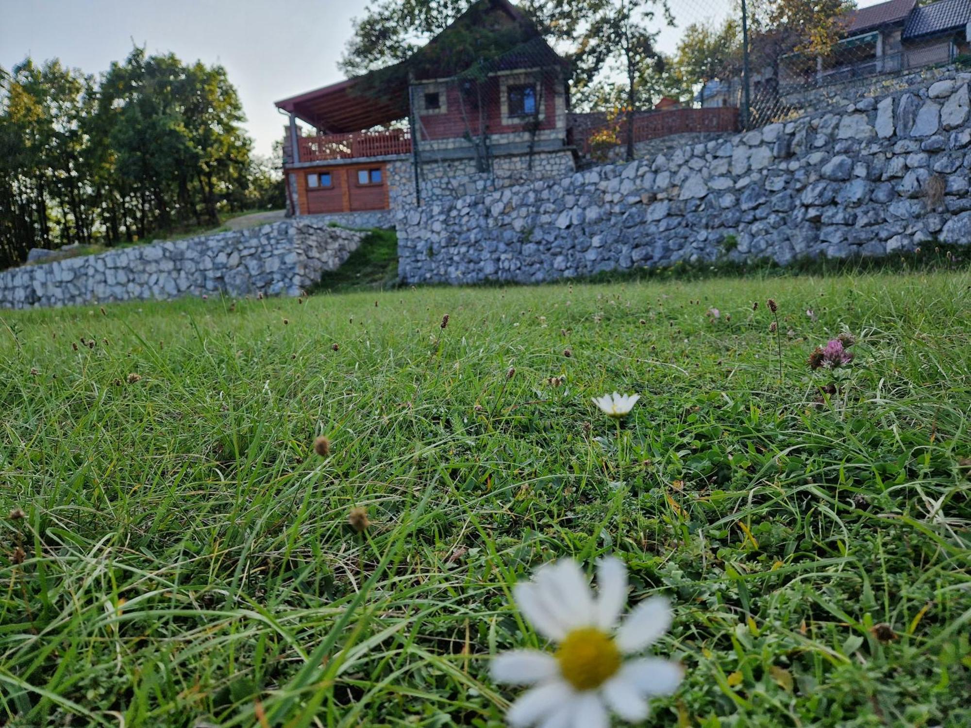 Mountain Village House Cetinje Kültér fotó
